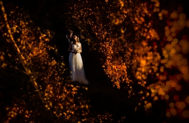 Dream Art Events #1274528