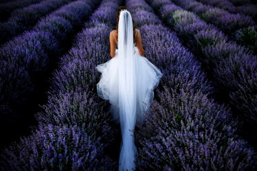 Marius Stoica #1315929