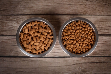 Ciprian Dumitrescu #1614983