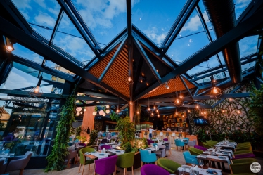 Lupascu Photography #1616486