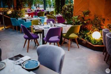 Lupascu Photography #1616487