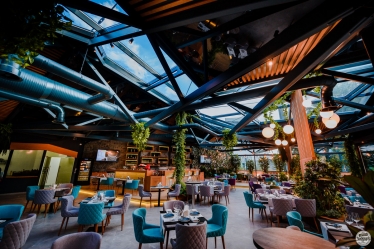 Lupascu Photography #1616488