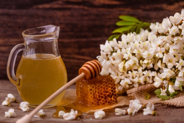 Stefan Chelmu Fotograf #1616531