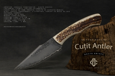 Bogdan Pacuraru #1616983