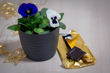 afvmemories #1616990