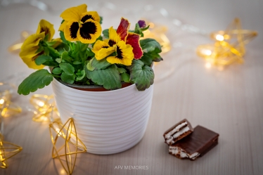 afvmemories #1616991