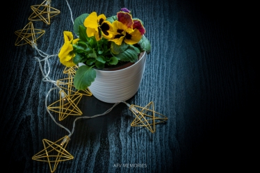 afvmemories #1616993