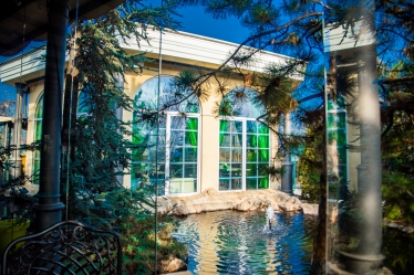 Catalin Voinea Fotograf #1617991