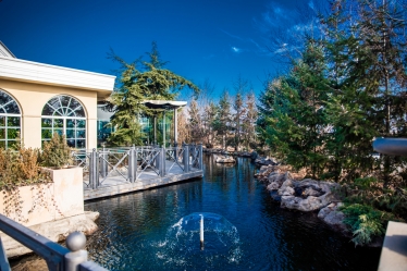 Catalin Voinea Fotograf #1617994