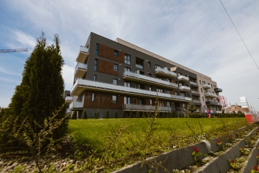 Atti Măsline #1619262