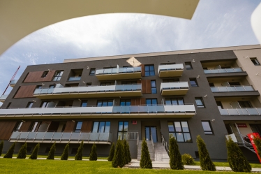 Atti Măsline #1619264