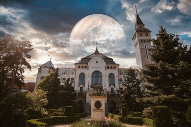 Atti Măsline #1619281