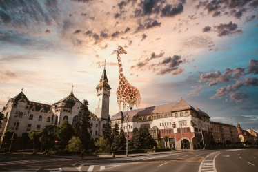 Atti Măsline #1619282