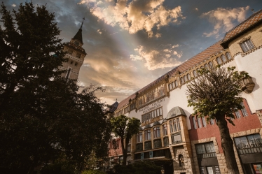 Atti Măsline #1619283