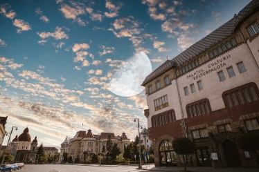 Atti Măsline #1619284