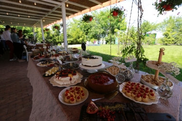 Eugen Elisei #1622862