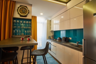 Florin Opris #1626823