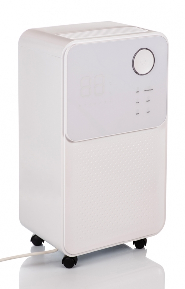 Dumitru Robert Photography #1626952