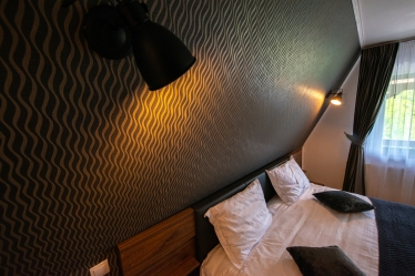 Vlad Pahontu #1632403