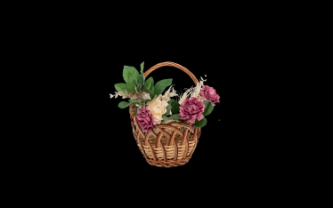 Pop Petru Fotograf #1677906