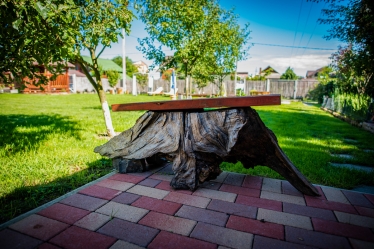 Pop Petru Fotograf #1677981