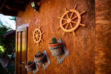 Pop Petru Fotograf #1677987