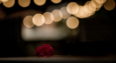 Ioana Iuliana Visan | Jo Photography #1701574