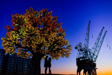 Sebastian Purice #1715852