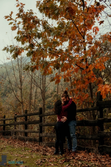 Răzvan Maloș #1731882