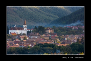 Răzvan Maloș #1731885