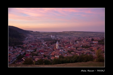 Răzvan Maloș #1731886