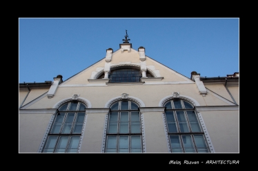 Răzvan Maloș #1731896