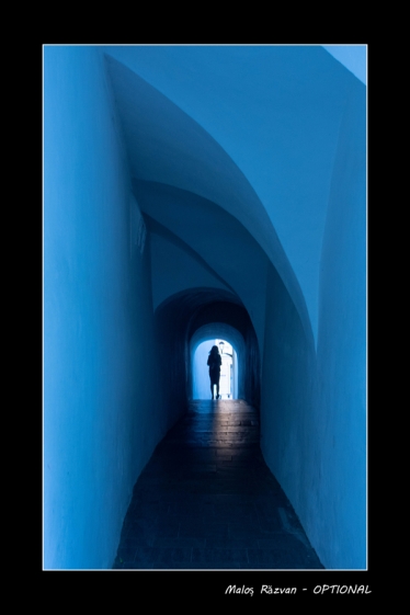 Răzvan Maloș #1731899