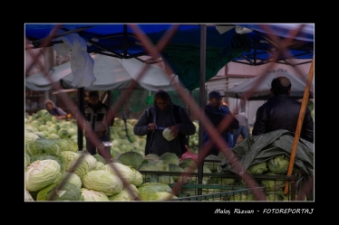 Răzvan Maloș #1731905