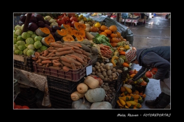 Răzvan Maloș #1731906