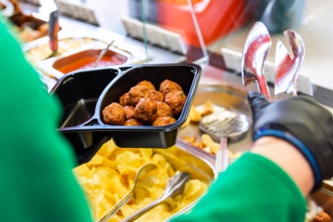 Stefan Mircea #1742811