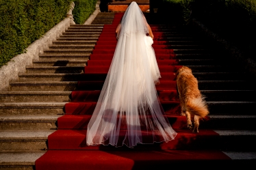 Paul Budusan Fotografie / Videografie de Nunta #1767002