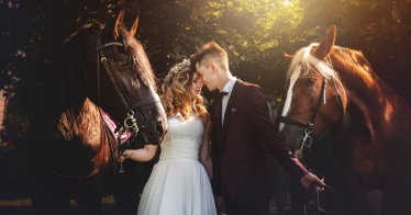 Leu Flavius Fotograf #1767913