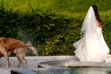 Paul Budusan Fotografie / Videografie de Nunta #1768486