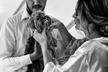 Mihai Zaharia Photography #1778233
