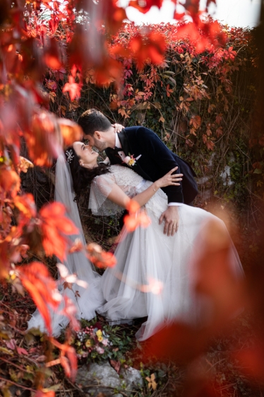 Alexandru Domnisoru #1796858