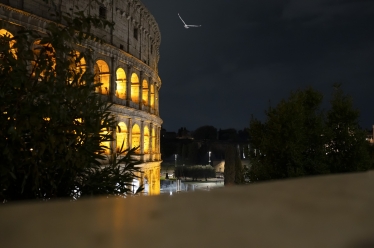 Silviu Eparu #1805074