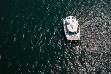 Andrei ENEA #1818634