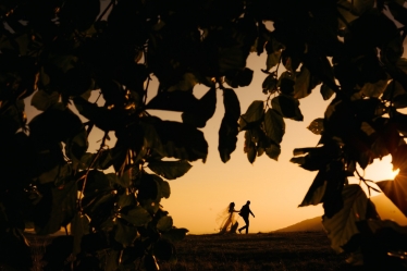 High Five Photo #1850008