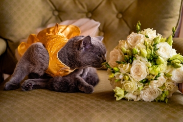 Paul Budusan Fotografie / Videografie de Nunta #1851850