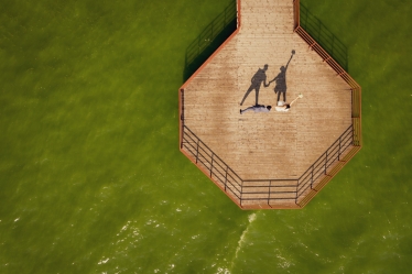 Mihai Dragnescu #1854221