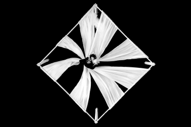 Adrian Scintei #1867965