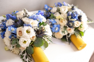 Lucian Entuc #1880727