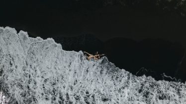 Sorin & Patricia #1896940