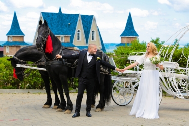 Kelemen Zoltan (Wedding Joy) #1910712